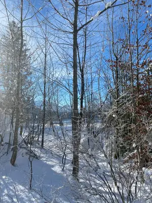 Obersdorfer Hof im Winter