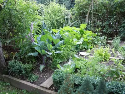 Ein Garten an der Unterkunft Appartementhaus Dargham