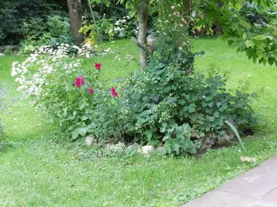Ein Garten an der Unterkunft Appartementhaus Dargham