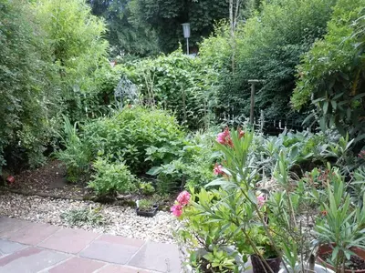 Ein Garten an der Unterkunft Appartementhaus Dargham