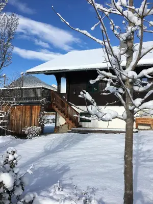 Ausseer Chalet (nahe Hallstatt), Ferienhaus im Winter