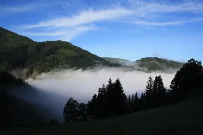 Naturlandschaft in der Nähe des Bauernhofs