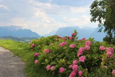 Naturlandschaft in der Nähe der Ferienwohnung