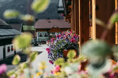 Ein Garten an der Unterkunft Wander- und Wellnesshotel Kanzler