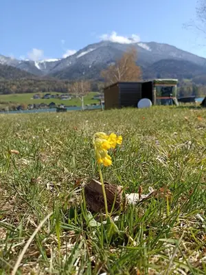 Ein allgemeiner Bergblick oder ein Berglick von der Ferienwohnung aus