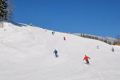 Skifahren in der Ferienwohnung oder in der Nähe