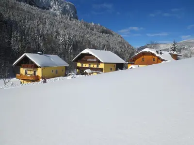Bio-Bauernhof Vordergrubenbach - Familie Oberascher im Winter