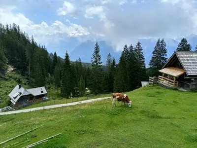 Naturlandschaft in der Nähe der Ferienwohnung