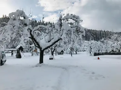Pension Zechnerhof im Winter