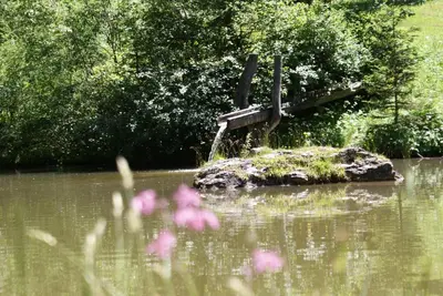 Naturlandschaft in der Nähe des Ferienhauses