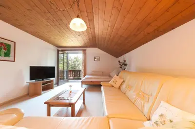 TV/Unterhaltungsangebot in der Unterkunft Haus Wolfgangsee