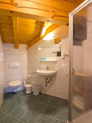 Ein Badezimmer in der Unterkunft Gästehaus Brigitte