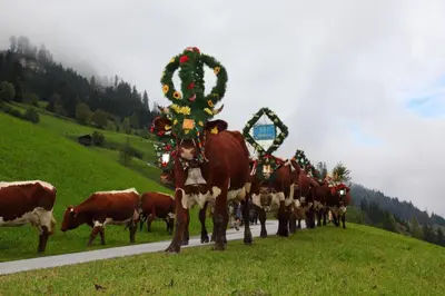 Tiere im Ferienhaus oder in der Nähe