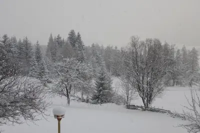 Fingerlos im Winter