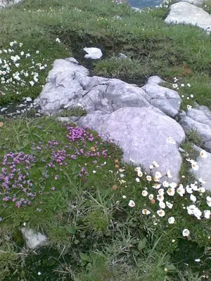 Naturlandschaft in der Nähe des Ferienhauses