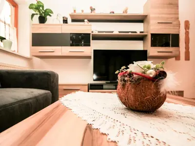 TV/Unterhaltungsangebot in der Unterkunft Apartment Poldi by Interhome