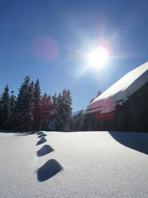 Pilznerhof im Winter