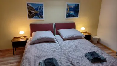 Ein Bett oder Betten in einem Zimmer der Unterkunft dachstein view