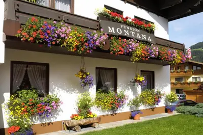 Ein Garten an der Unterkunft Pension Montana