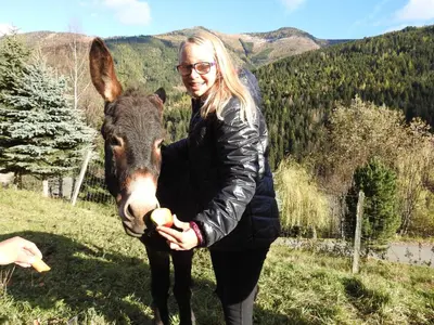 Tiere im Ferienhaus oder in der Nähe