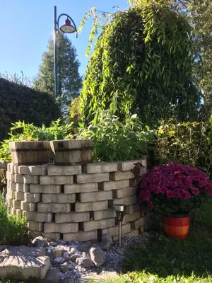 Ein Garten an der Unterkunft Ferienhaus Wind