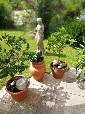 Ein Garten an der Unterkunft Haus Marianne