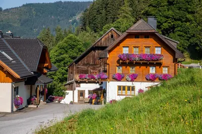 Naturlandschaft in der Nähe of country house