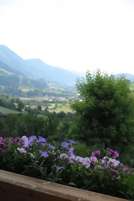 Naturlandschaft in der Nähe der Ferienwohnung