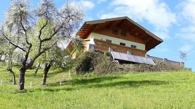 Ein Garten an der Unterkunft Landhaus Katharina