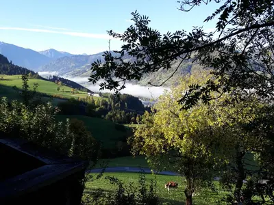 Naturlandschaft in der Nähe der Ferienwohnung