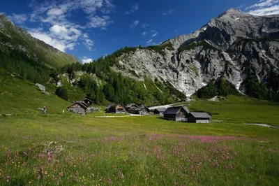 Naturlandschaft in der Nähe der Ferienwohnung