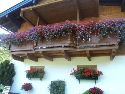 Ein Garten an der Unterkunft Bergblick