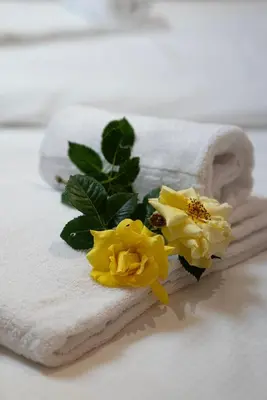 Ein Bett oder Betten in einem Zimmer der Unterkunft Zederberg Appartements
