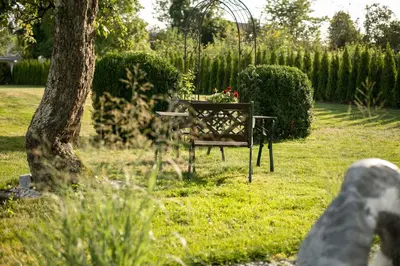 Ein Garten an der Unterkunft Pension Knoll