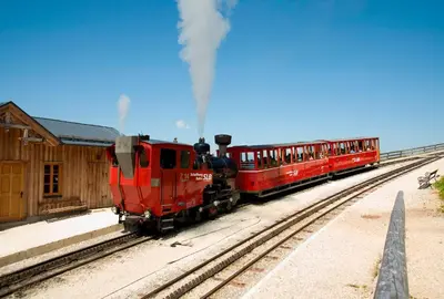 Gäste, die in der Unterkunft Hotel Försterhof lebe pur, genieße den Tag übernachten