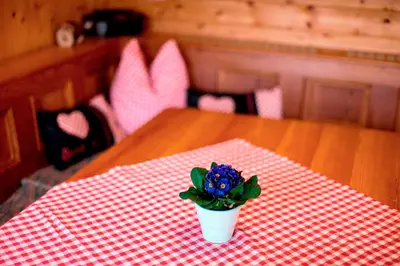 Grundriss der Unterkunft Chalet 