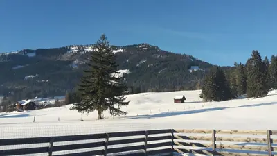 Greenheart Aussee im Winter