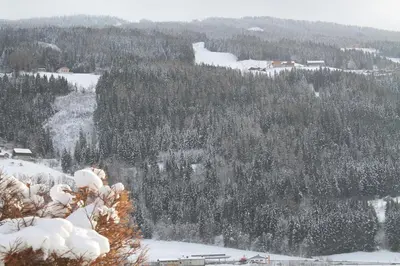 Naturlandschaft in der Nähe der Ferienwohnung
