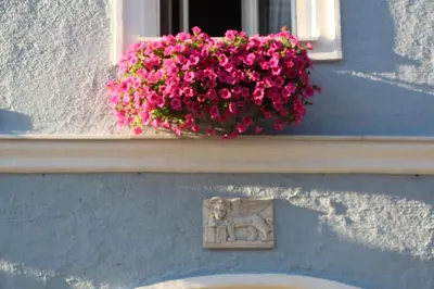 Grundriss der Unterkunft Stadtappartements Oppeneiger