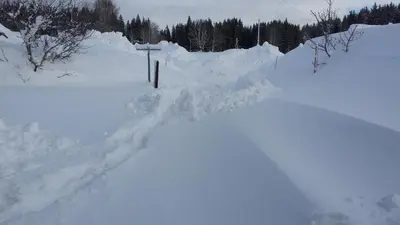 Haus Ferienglück im Winter