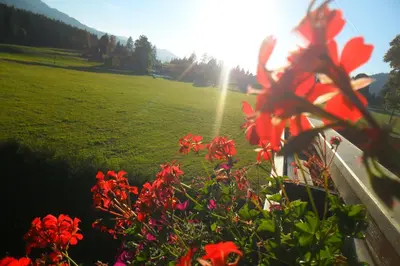 Ein Garten an der Unterkunft Haus Ferienglück