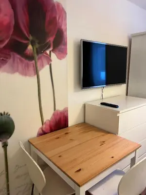 TV/Unterhaltungsangebot in der Unterkunft Hotel Pension Waldesruh