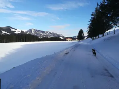 Hinterlammerain im Winter