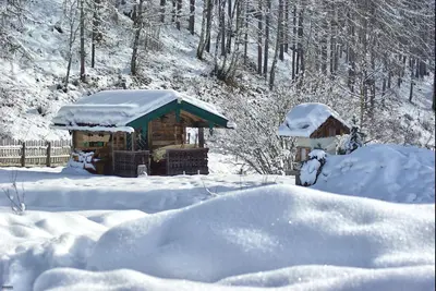 Das Eulersberg Apartments & Chalets im Winter