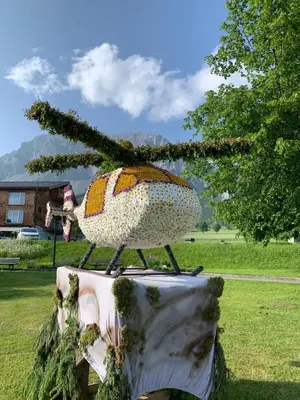 Ein allgemeiner Bergblick oder ein Berglick von der Ferienwohnung aus