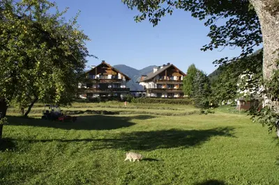 Naturlandschaft in der Nähe der Ferienwohnung