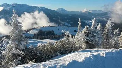 Naturlandschaft in der Nähe der Pension