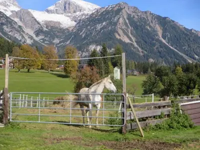 Ein allgemeiner Bergblick oder ein Berglick von des Ferienhauses aus