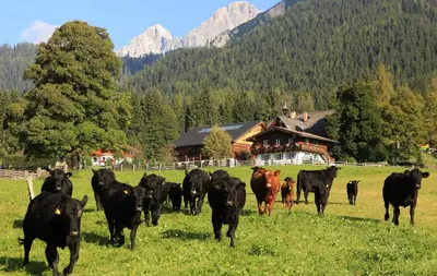 Naturlandschaft in der Nähe des Hotels
