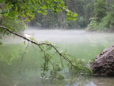 Naturlandschaft in der Nähe der Ferienwohnung